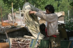 Бургаски роми блокираха път, пазят къщите си от събаряне