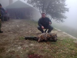 Три вълка отстреля бизнесменът Валентин Златев. В лова участва и кметът на Ботевград