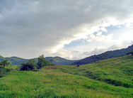 Убиха пастир, завел стадото на грешно място