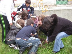 Ученици от ОУ “Любен Каравелов” засадиха юбилейни дръвчета в двора на училището