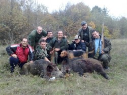 Ловната дружинка на Радотина отстреля три диви прасета