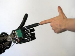 Скоро роботите ще започнат да се борят за своите права