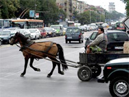 Шофьор наръга с нож каруцар в Пловдив