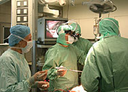 20% от списъците за трансплантации - нереални