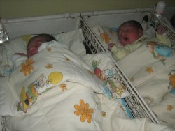 Две бебета проплакаха на Коледа в ботевградската болница