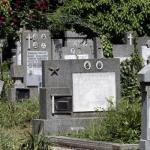 Всеки месец ще се отпускат средства за поддръжка на гробищния парк в Ботевград