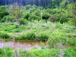 Установено е замърсяване на водите на р. Макоцевска на територията на  община Горна Малина