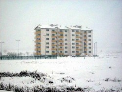 Дават една година отсрочка за домовите книги