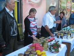 Пчеларско дружество “Димитър Панчев” се обяви против отглеждането на генно модифицирани растения и организми