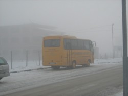 Даниела Николова: Постъпила е само една молба за ползване на училищния автобус