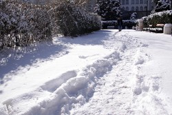 13-годишно дете почина след игра в снега