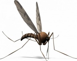Устройство с лазер убива 100 комара за секунда