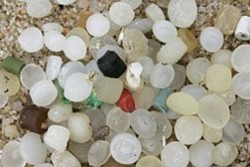Учени създадоха биоразграждаща се пластмаса
