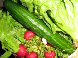 Стартират съвместни проверки за наличието на нитрати в зеленчуците 