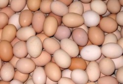 Започват засилени проверки на яйцата за Великден 