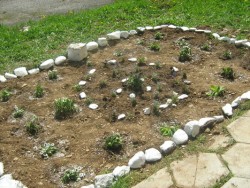 Ученици от ТПГ “Стамен Панчев” засадиха цветя и дръвчета в двора на училището