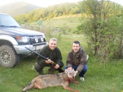 Христо Стоичков отстреля вълк в Литаково