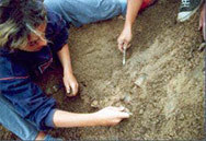 Откриха останки на праисторически човек край Враца