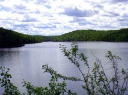 Изпразниха опасен язовир край пернишко село