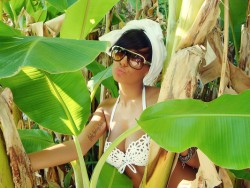 Николета Лозанова отказа 4-цифрена сума