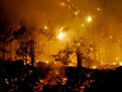 Четирима  пожарникари от Ботевград участват в борбата с огненатата стихия в Русия