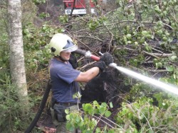 Българските пожарникри  гасят пожара  край градовете Ногинск и Ликино-Дулево