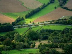 Търсят сезонни работници в Германия