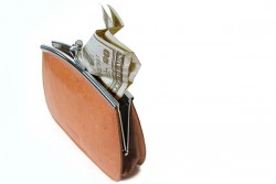 Биометричен портфейл пази парите от джебчии