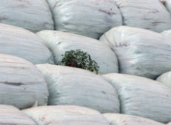 Севлиево приема 20 хиляди тона софийски боклук