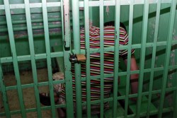 Трима младежи убили клошарите в Силистра