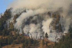 Над 450 души участват в потушаването на горските пожари в Стара планина