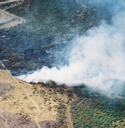 Днес на територията на страната огнеборците участваха в погасяването на 37 пожара