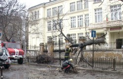 70 сигнала заради вятъра и дъжда в София