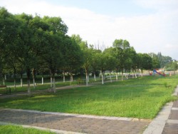 Гражданско сдружение „За чиста природа” разпространи обръщение към жителите на Ботевград, Трудовец и Скравена