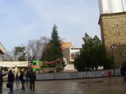 Коледната елха на Ботевград ще светне на 8 декември