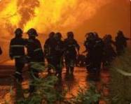 Българските пожарникари в Израел спасиха от огъня спа център в планината Кармел