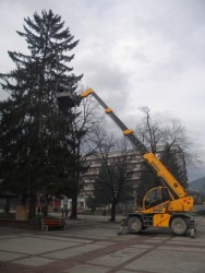 Коледната елха ще светне утре вечер