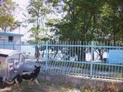 Крадат оградата на болницата