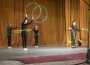 Кулминацията на Ясеновските дни