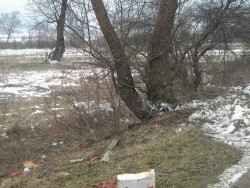 Удар в крайпътно дърво е катастрофата, при която пострада 65-годишен шофьор