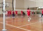 Волейболни новини