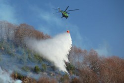 Огромен горски пожар край Банско