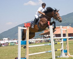 Предстоящ Великденски турнир по конна езда