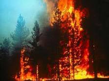 Обявиха пожароопасен сезон в горите на Софийска област