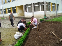 Ученици от ПГТМ “Христо Ботев” засадиха вечнозелени храсти около паметника на своя патрон