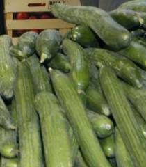 Ентерохеморагична Ешерихия коли /ЕХЕК/ и Хемолитично-уремичен синдром/ХУС/ - Какво трябва да знаем?