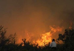 Мерки за намаляване на горските пожари в България   