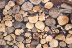 Цените на дървесината за местното население ще намалеят 