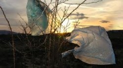 Георги Георгиев: На 29 юли да не използваме найлонови торбички!