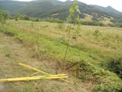 Етрополе - европейски град…Що е то?